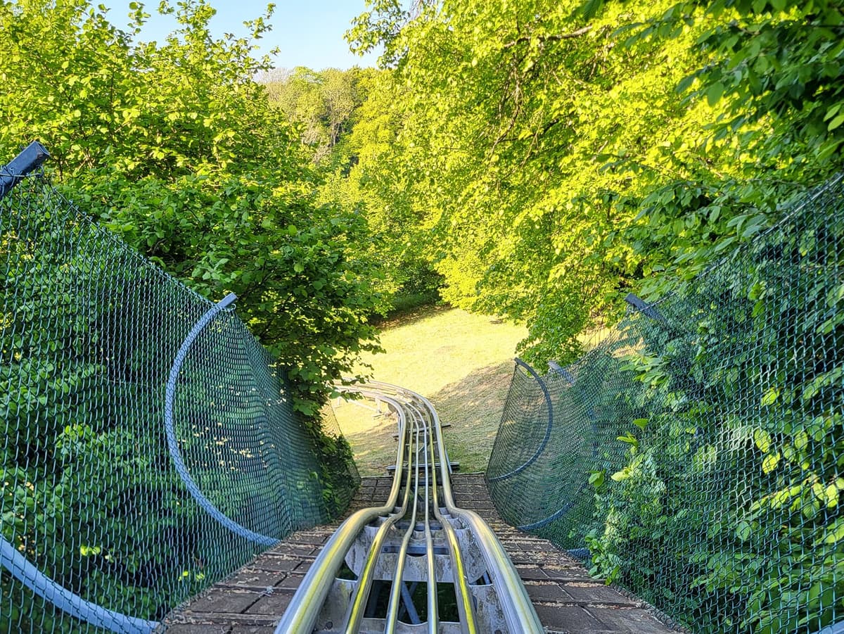 Eine Bobbahn schlängelt sich durch einen Wald, während die Schienen zwischen den Bäumen verlaufen.