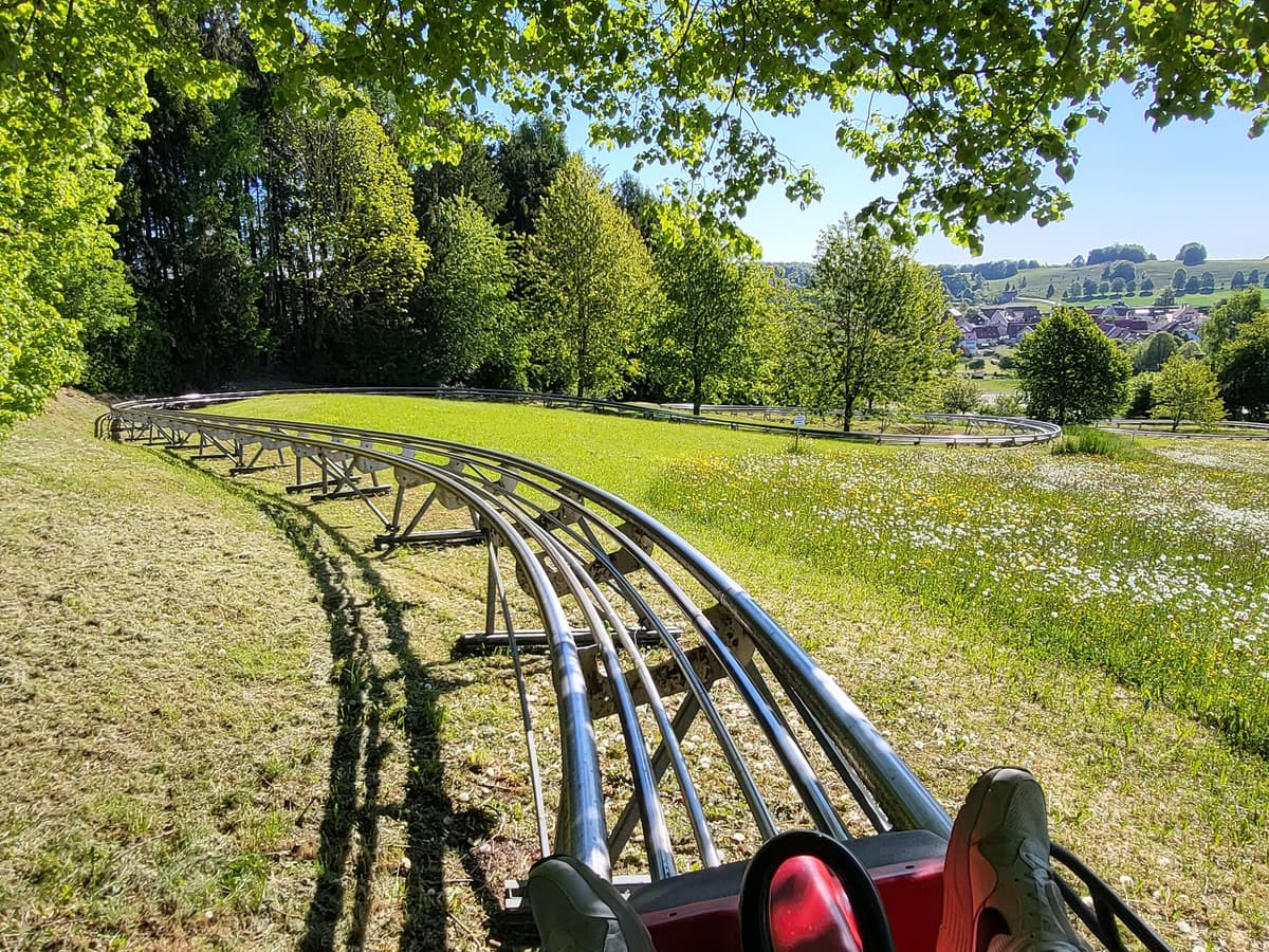 Eine Bobbahn, umgeben von Bäumen und Gras, mit Fahrgästen, die die Fahrt genießen.