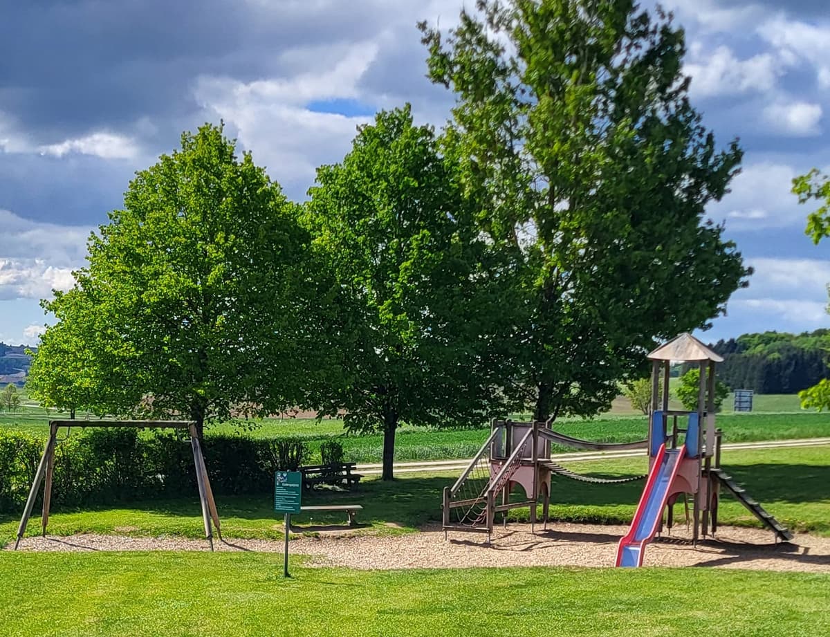Spielplatz mit einer Rutsche und Schaukeln auf grünem Gras, ideal für Kinder zum Spielen und Entspannen.