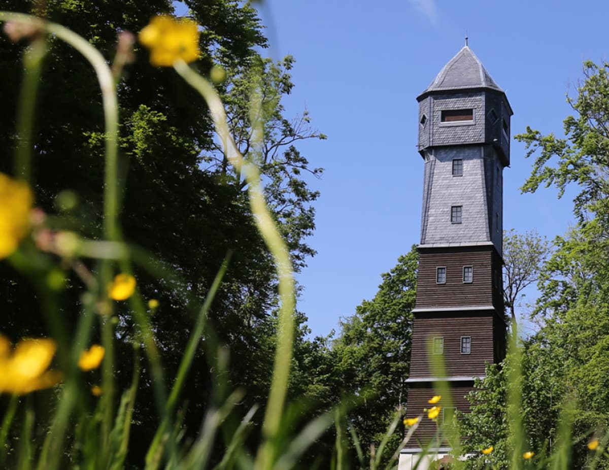 Eine Uhrturm umgeben von Bäumen und bunten Blumen im Freien.